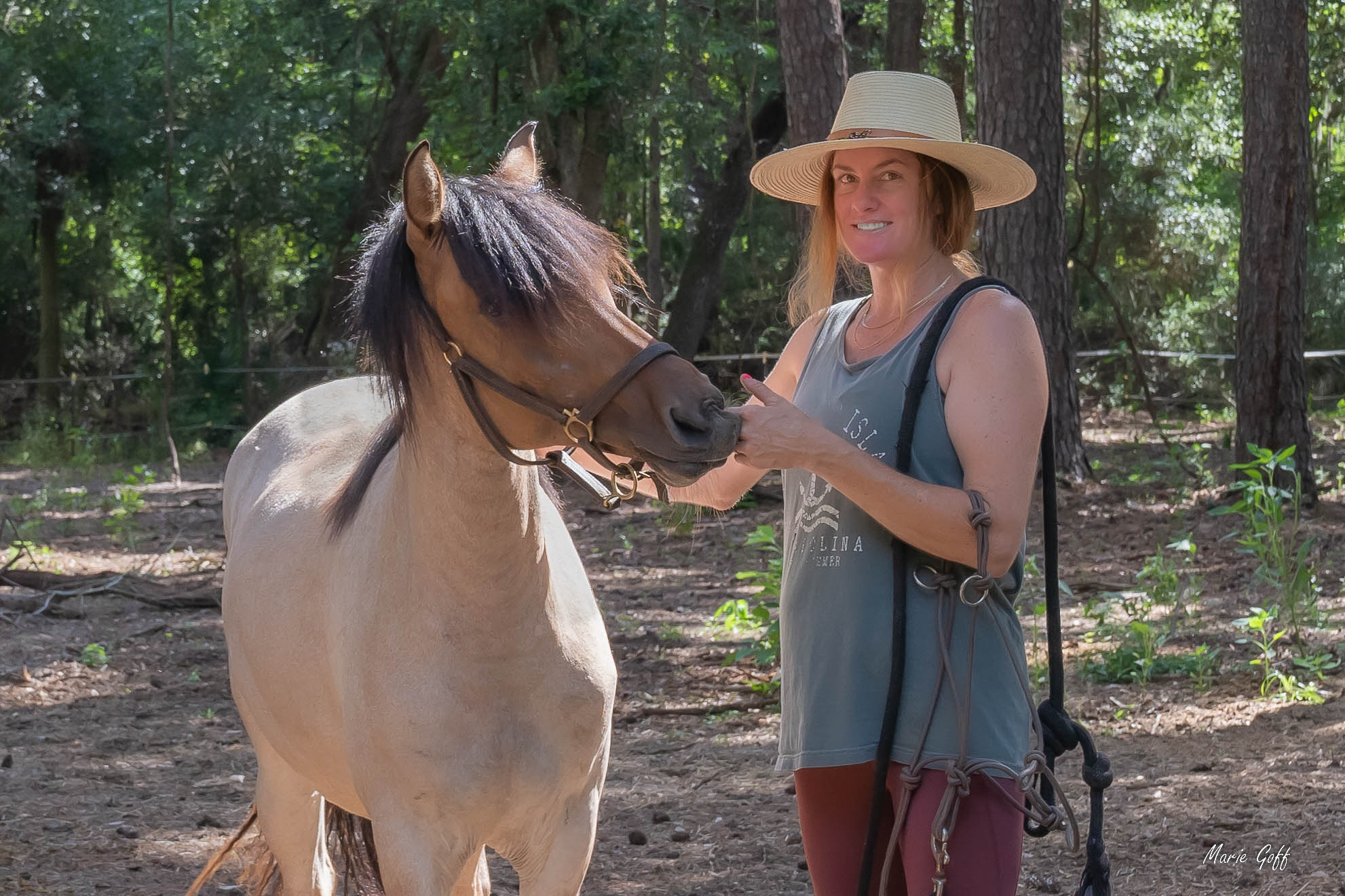 Marsh Tacky horse
