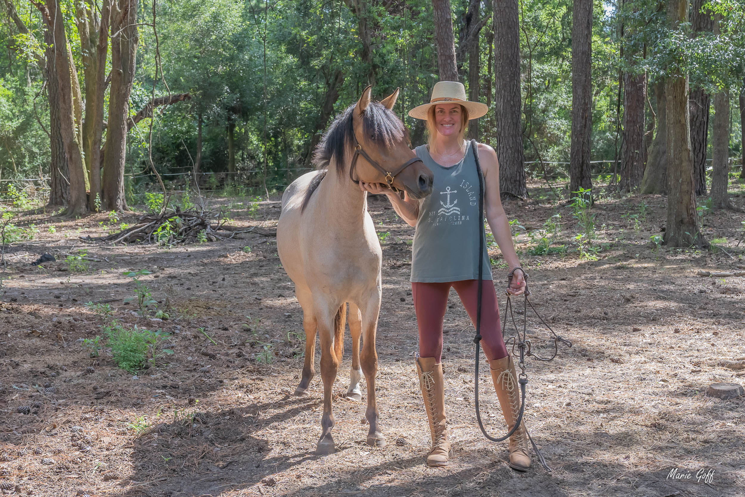 marsh tacky horses