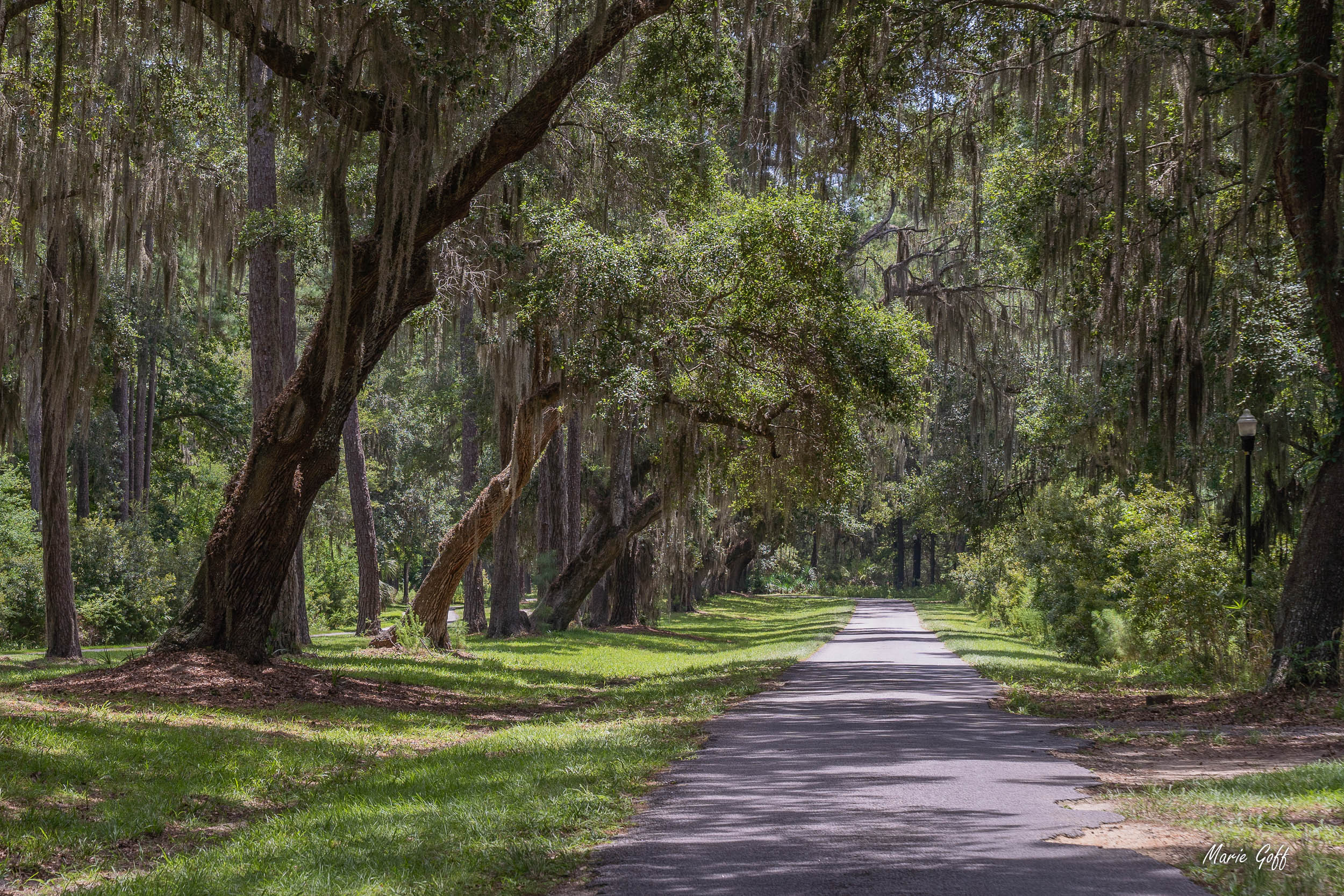 Daufuskie Island is unique