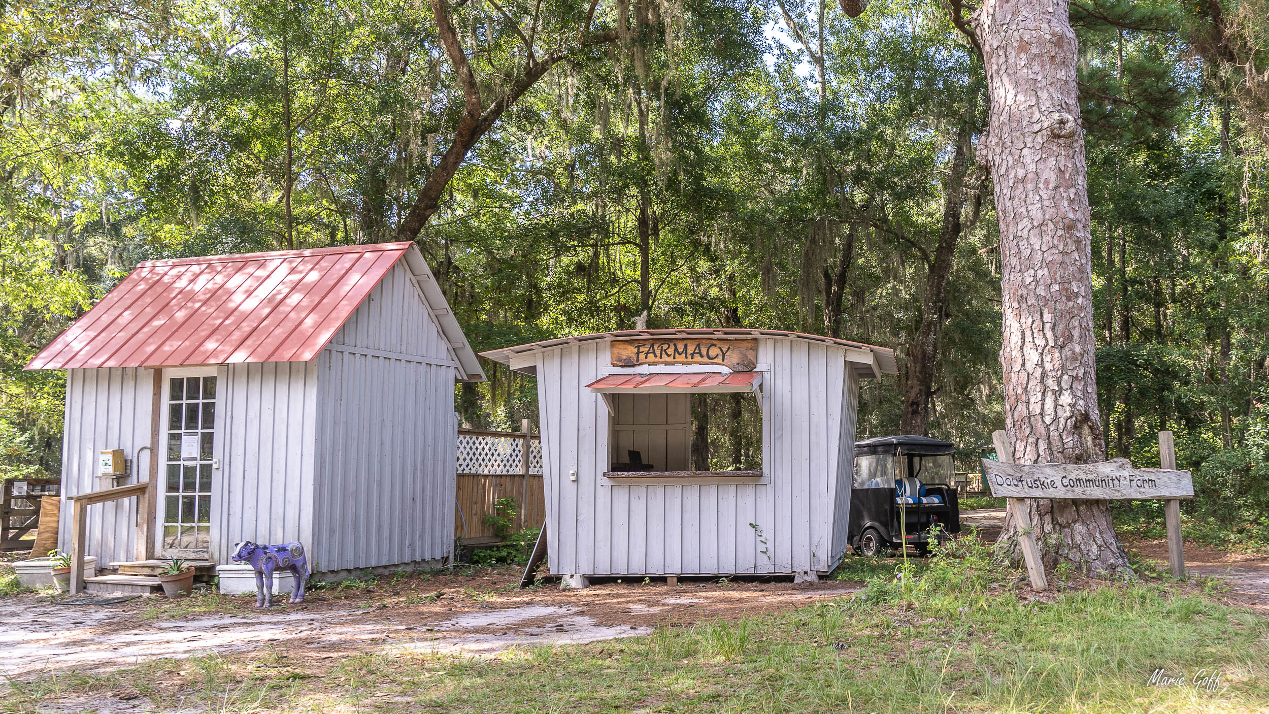 Daufuskie Island is unique