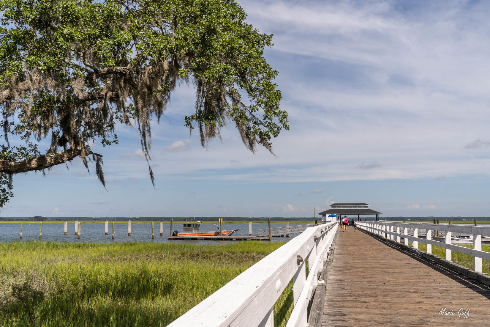 Journey Through South Carolina