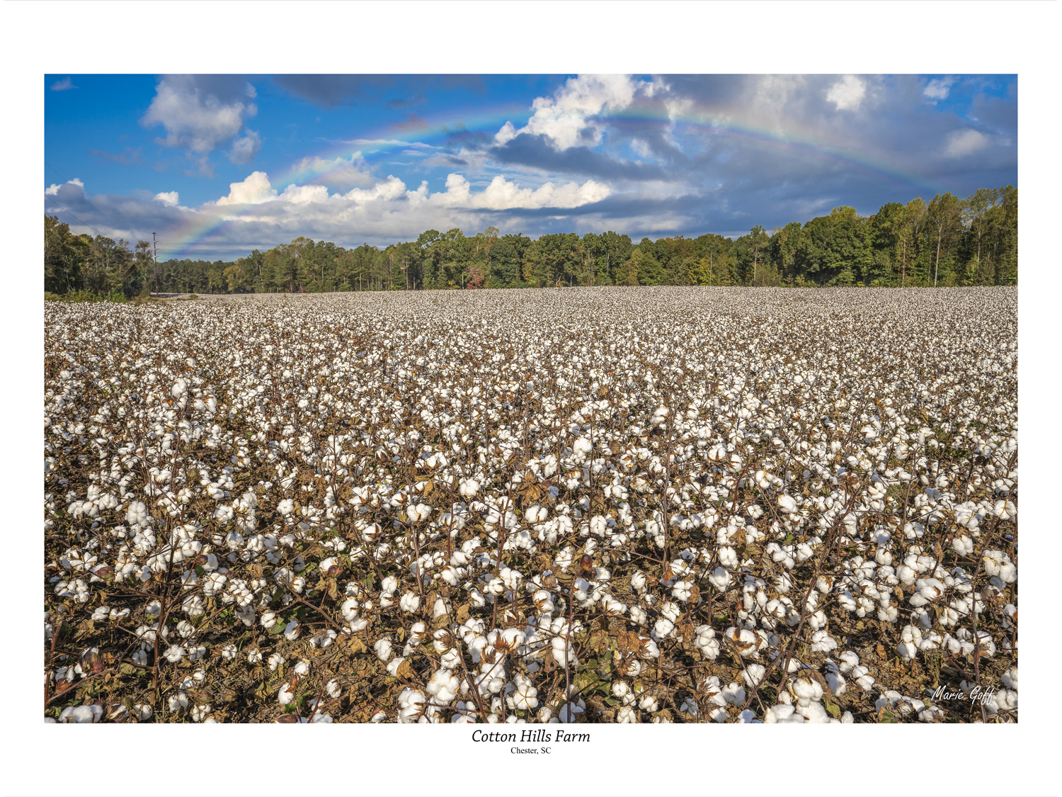 Journey through South Carolina Chester