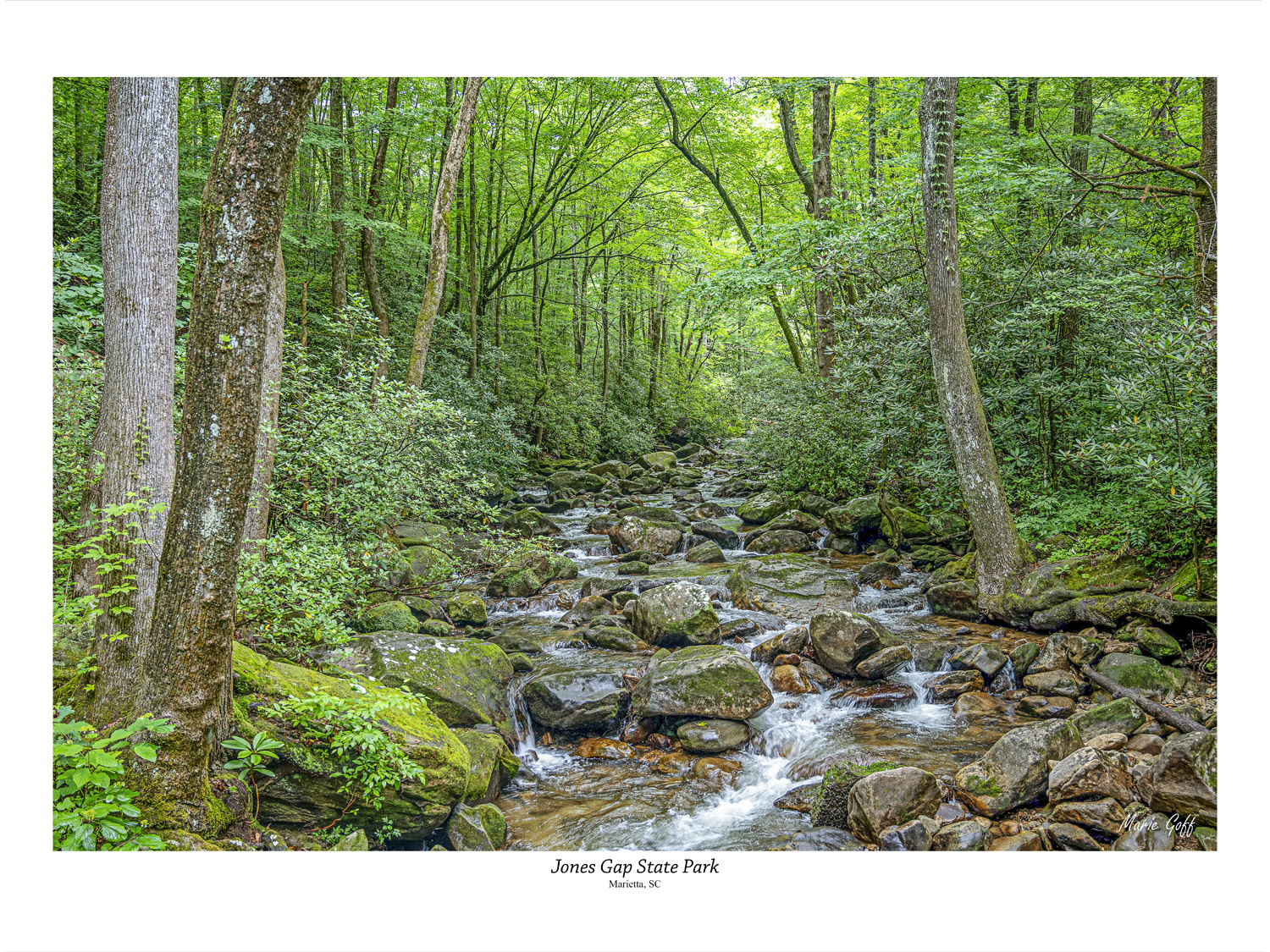 Jones Gap State Park