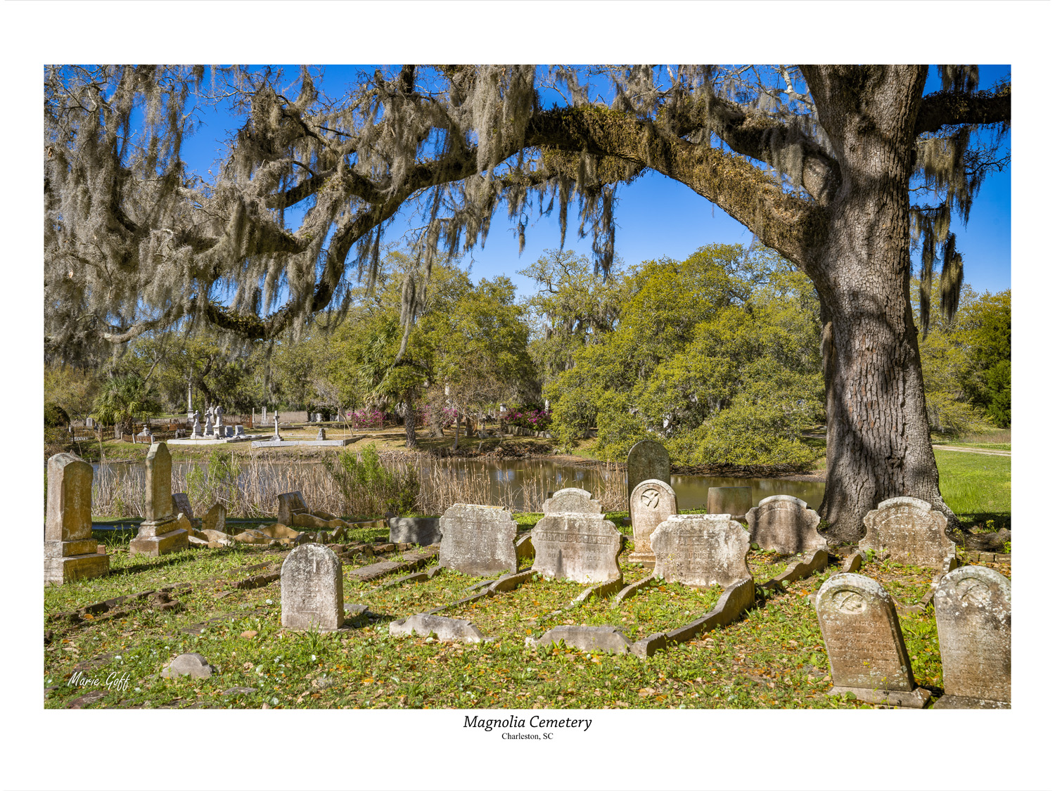 Journey through South Carolina Charleston