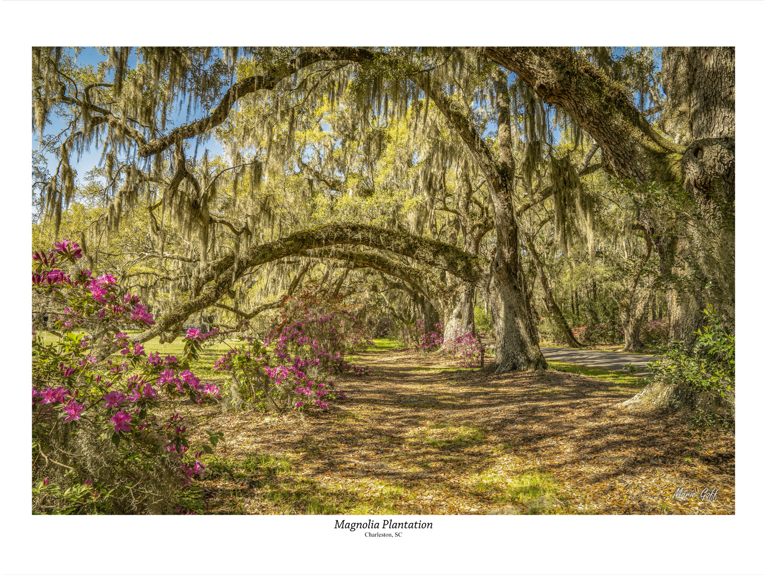 Journey through South Carolina Charleston