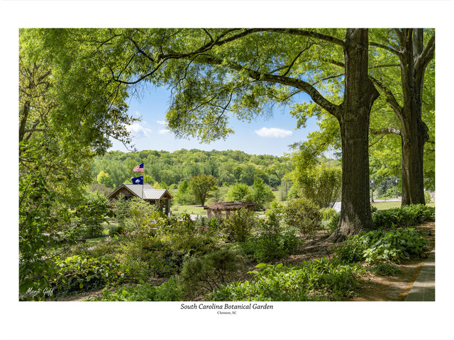 South Carolina Botanical Garden