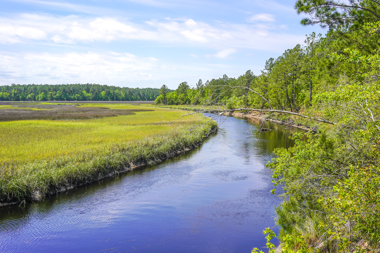 Fall in Love with South Carolina