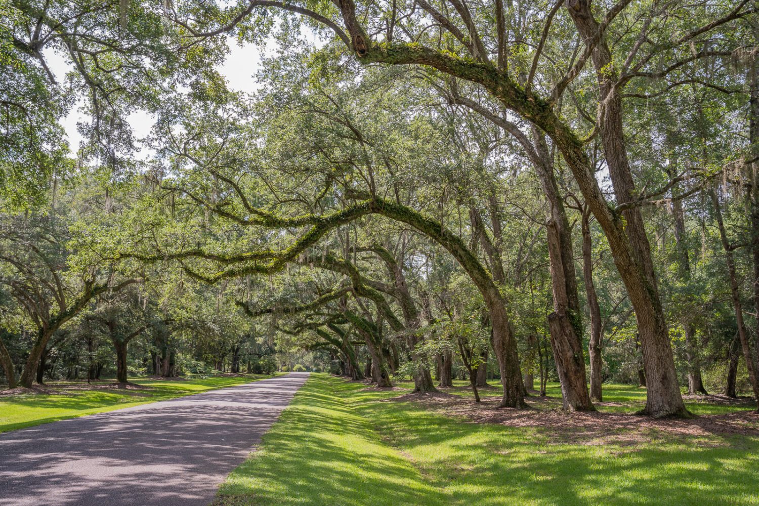 South Carolina Roads