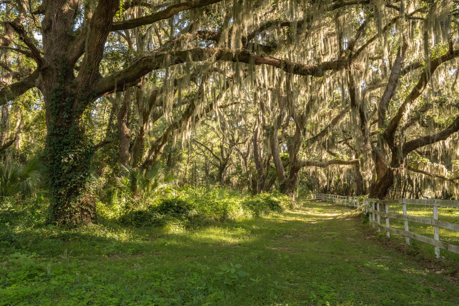 South Carolina Roads