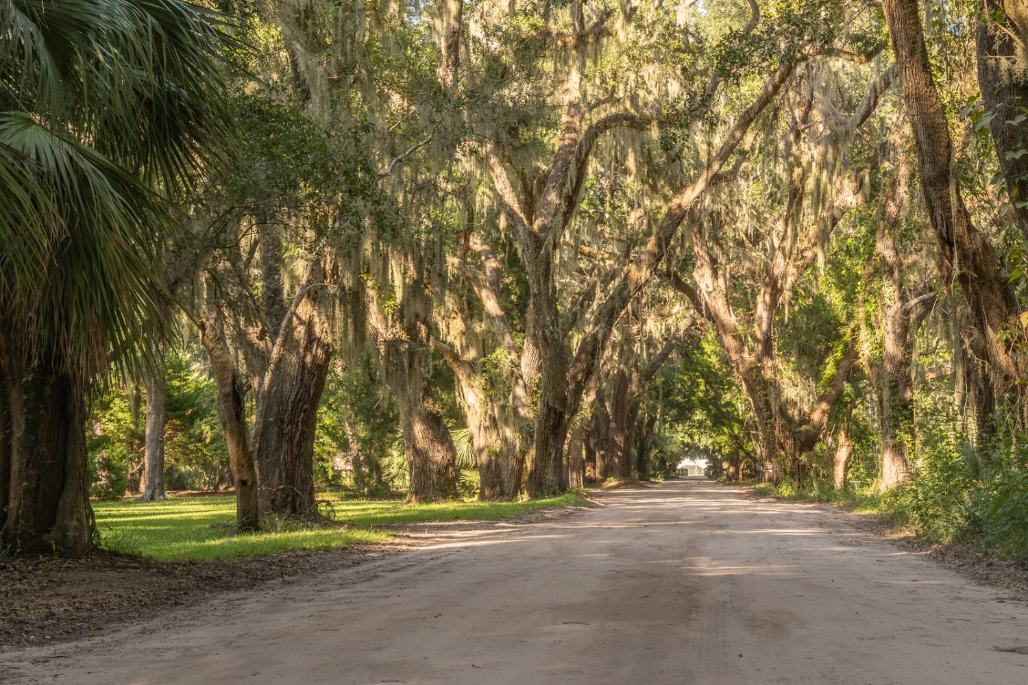 South Carolina Roads