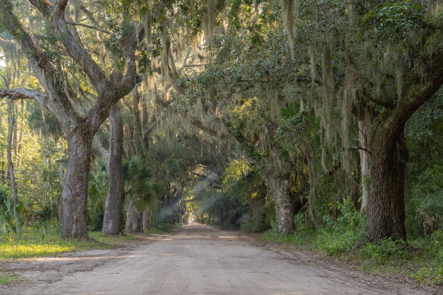 South Carolina Roads