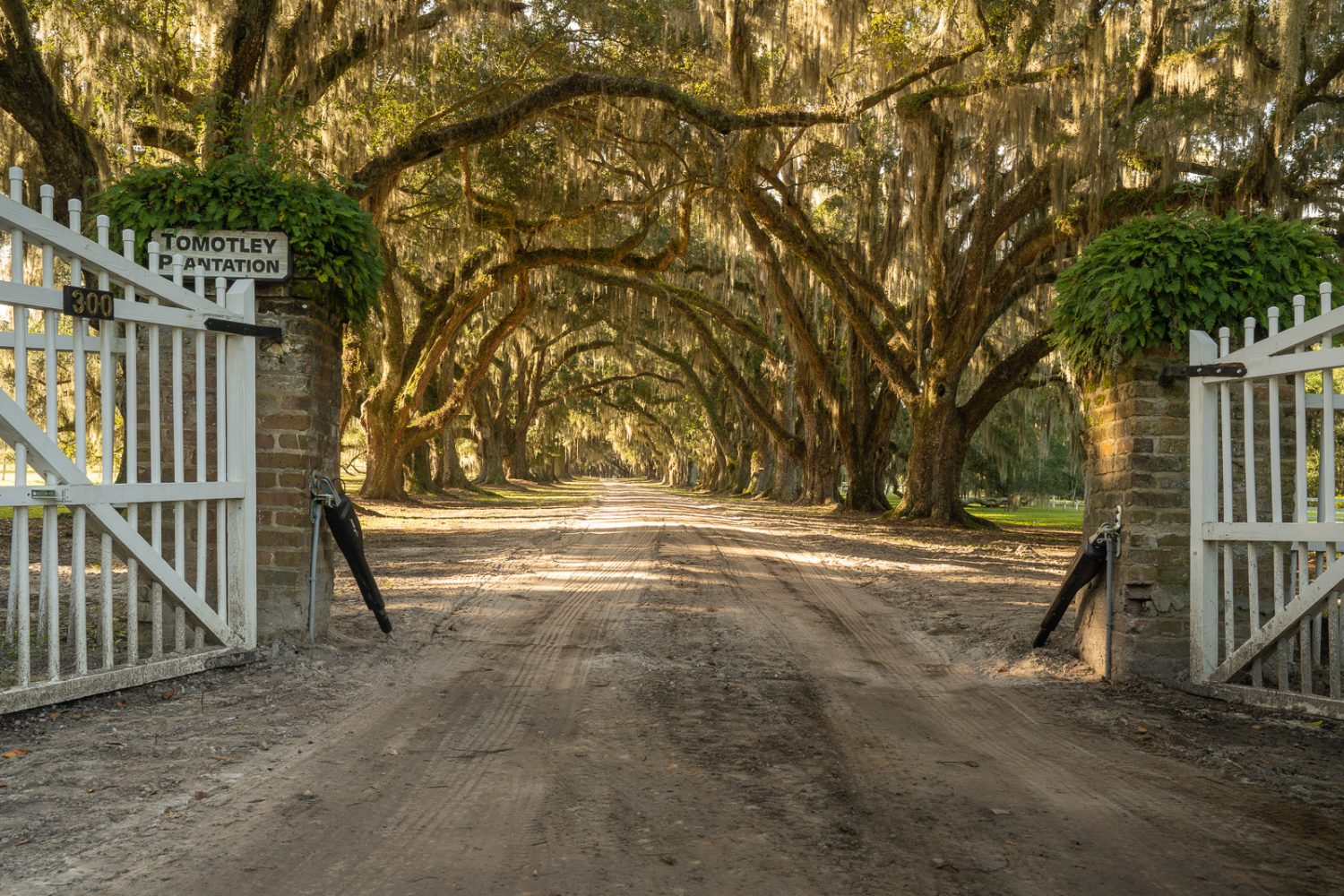 South Carolina Roads