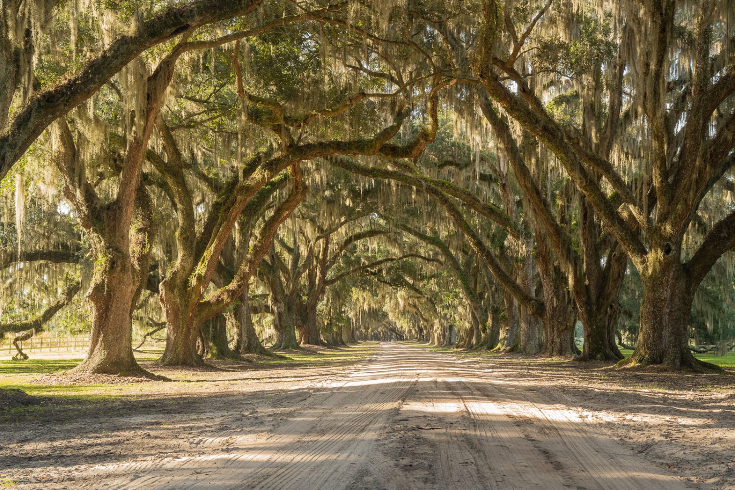 South Carolina Roads