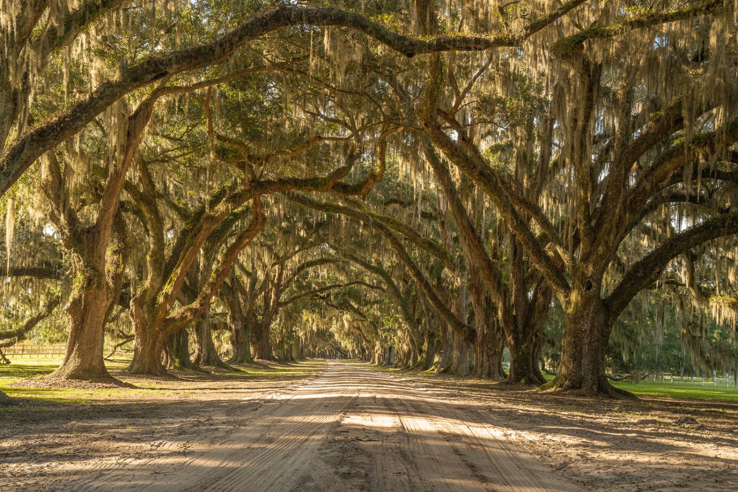 South Carolina Roads