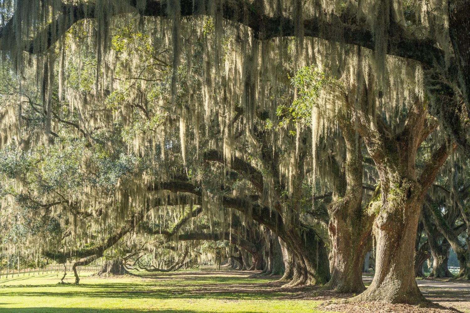 South Carolina Roads