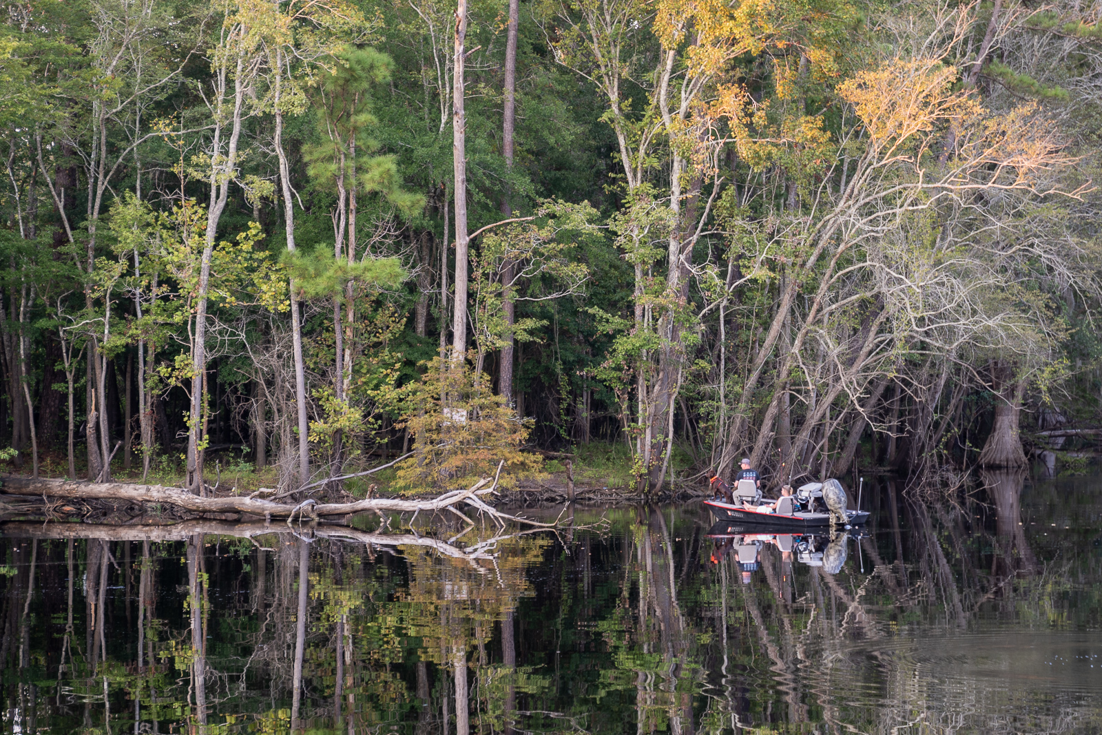 Beyond the love of Charleston