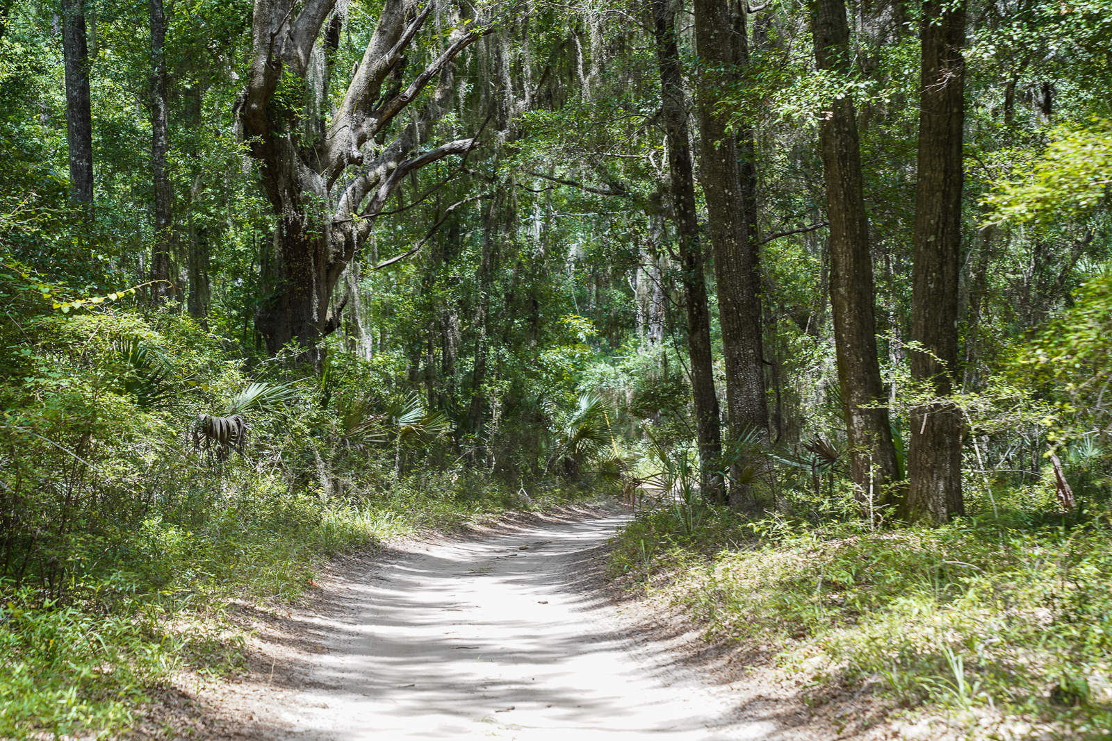 South Carolina Roads