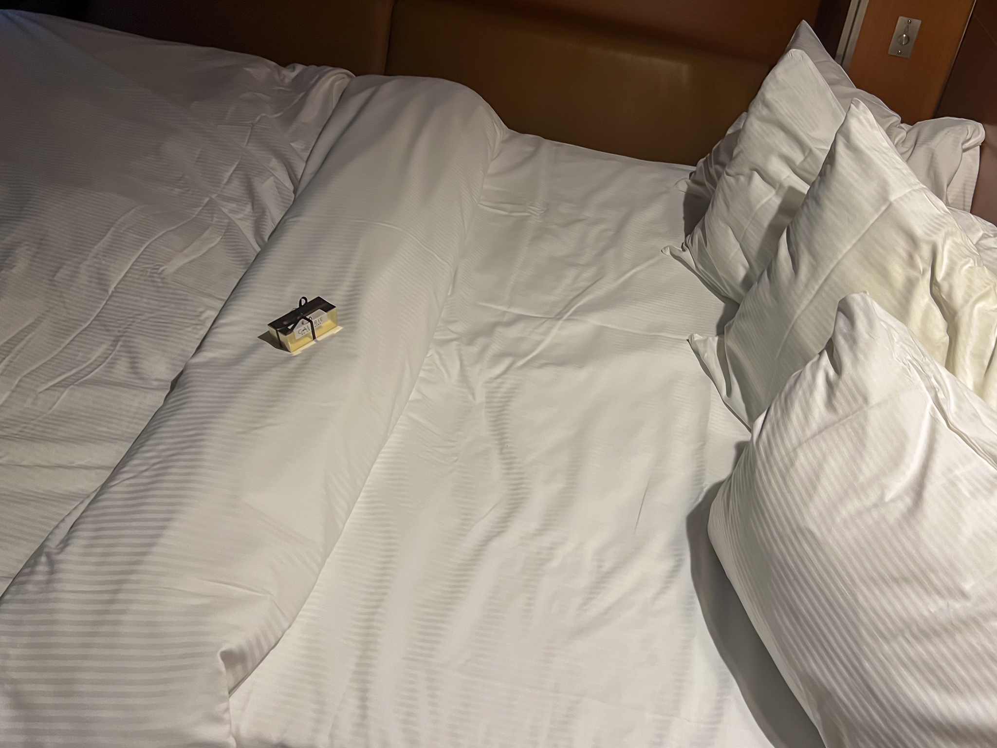 VIA Rail-The Canadian Train Prestige Class