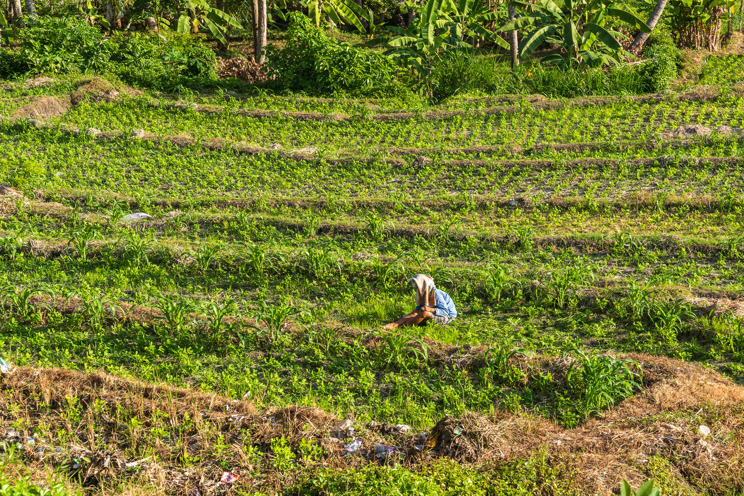 Why People Love Bali!
