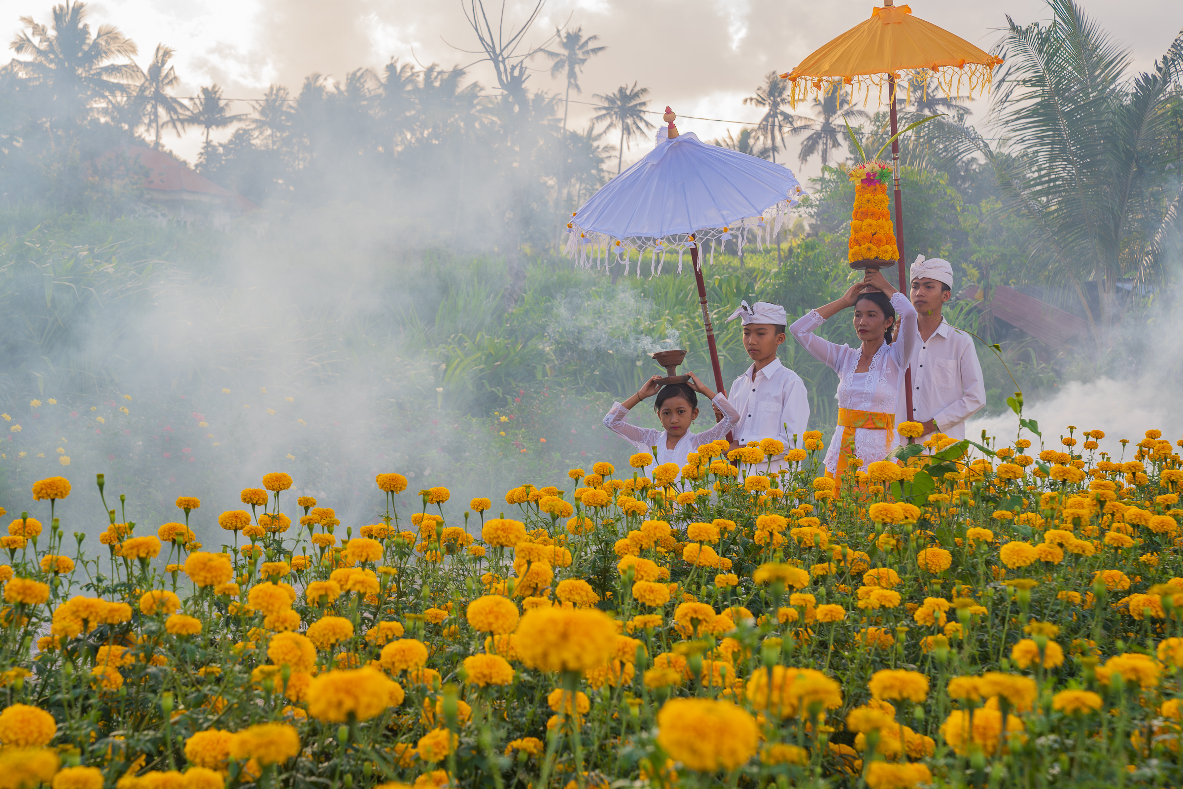 Bali's Beloved Marigolds