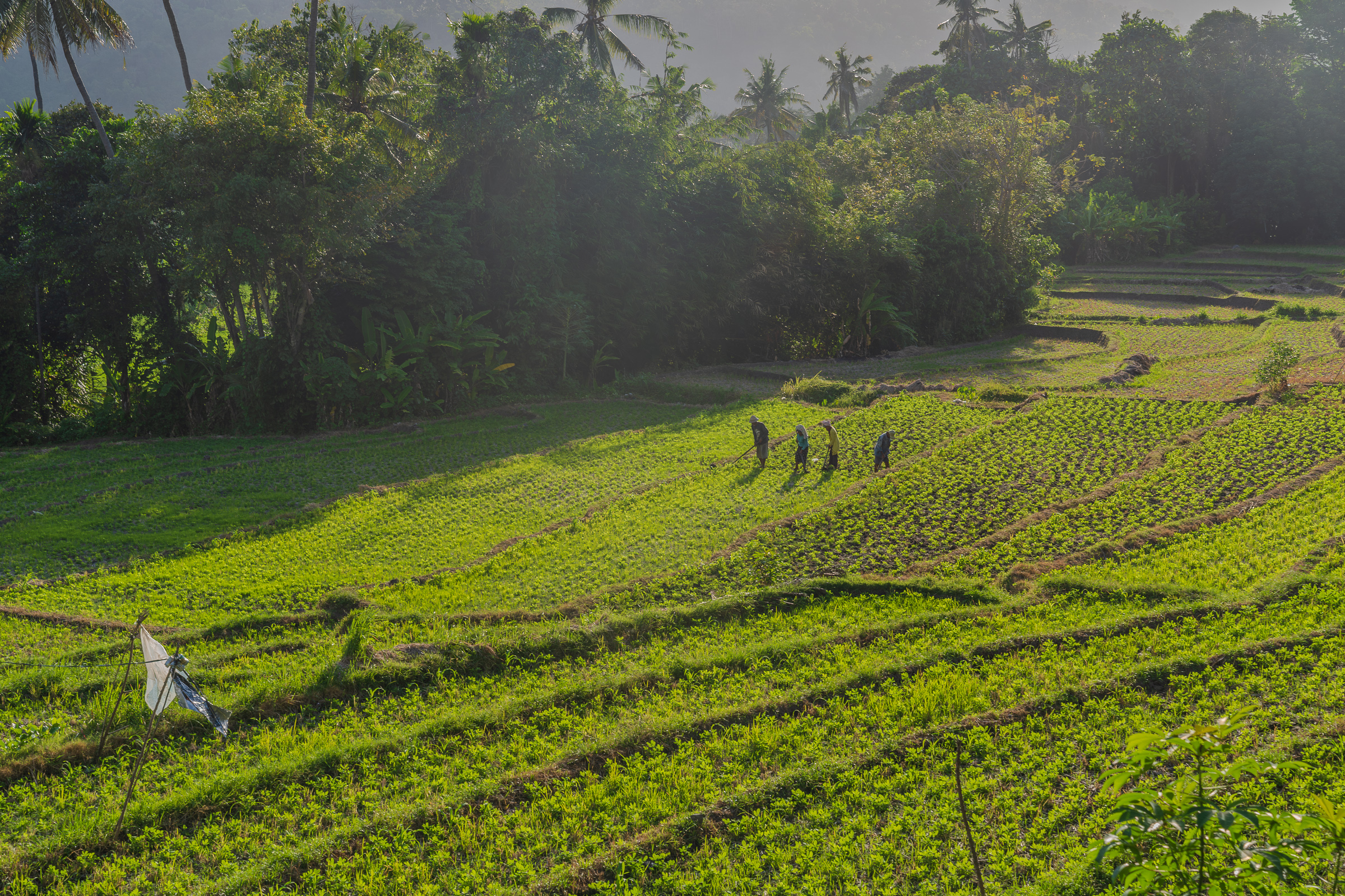Why People Love Bali