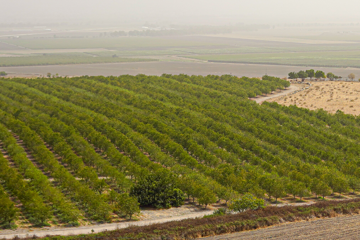 Archaelodical sites in Israel