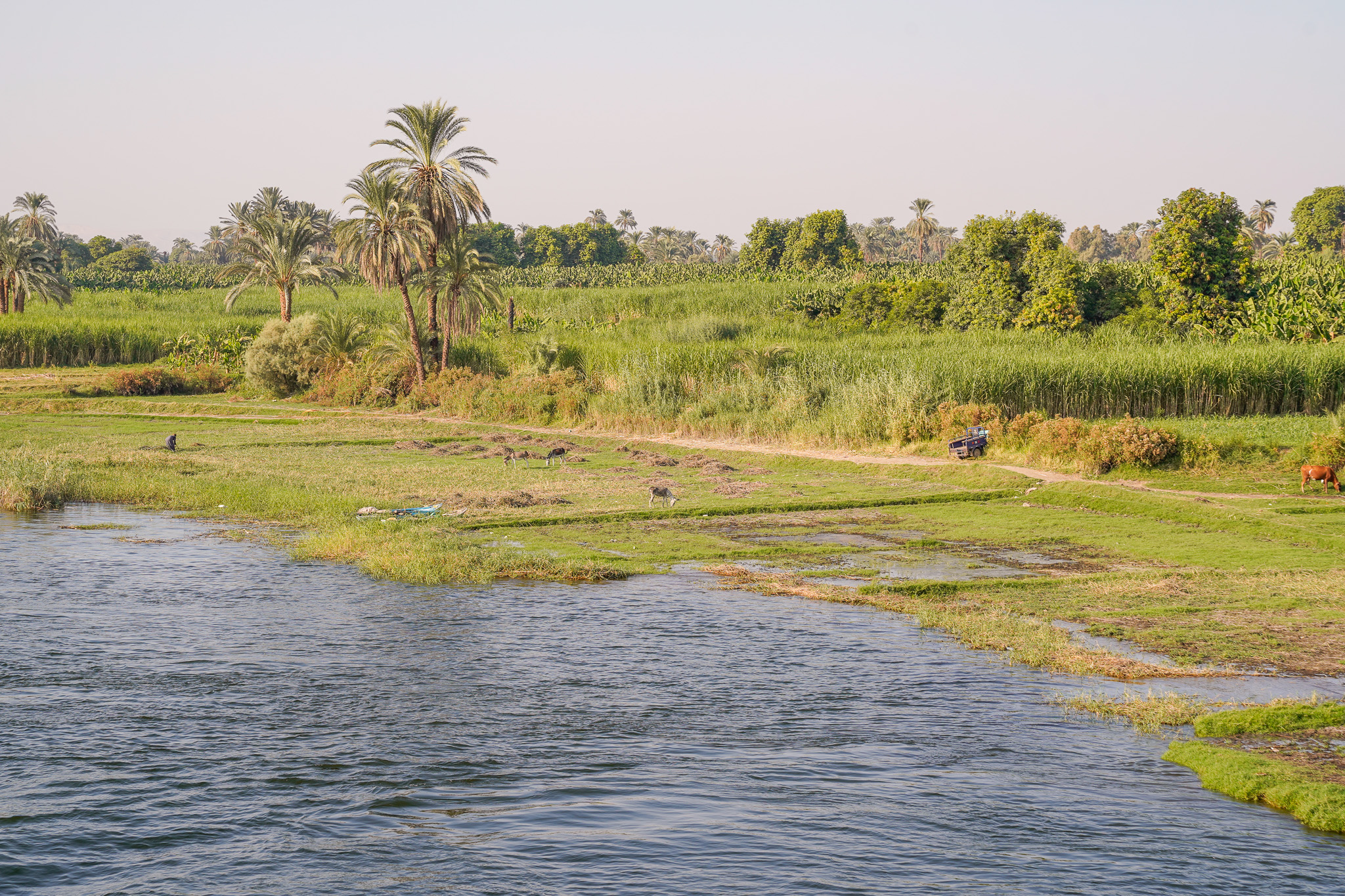 Nile River Cruising