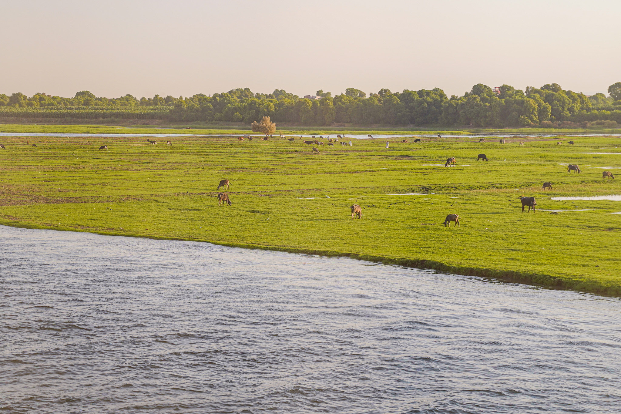 Nile River Cruising