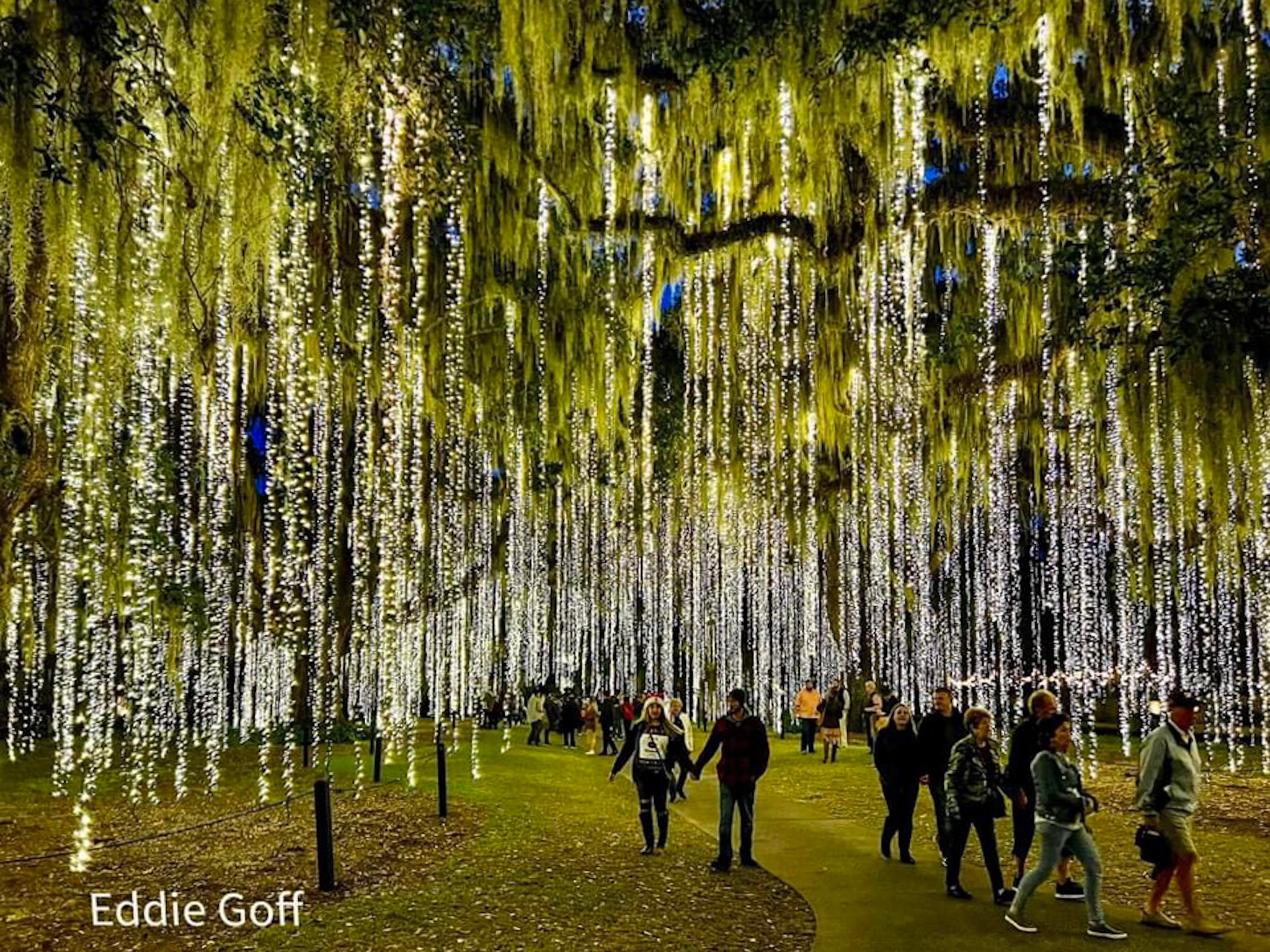 Brookgreen Gardens