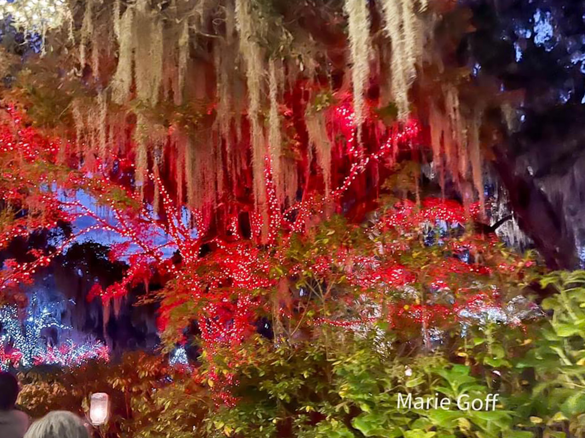 Brookgreen Gardens