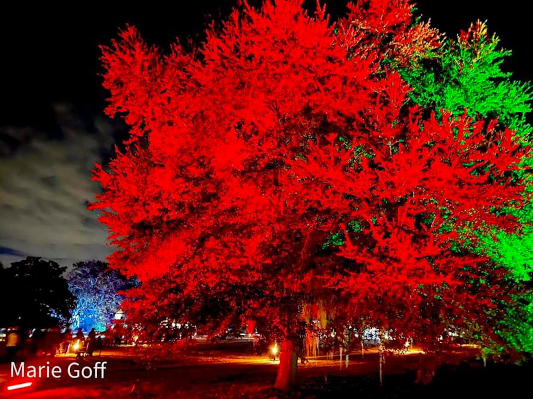 Nights of a Thousand Candles