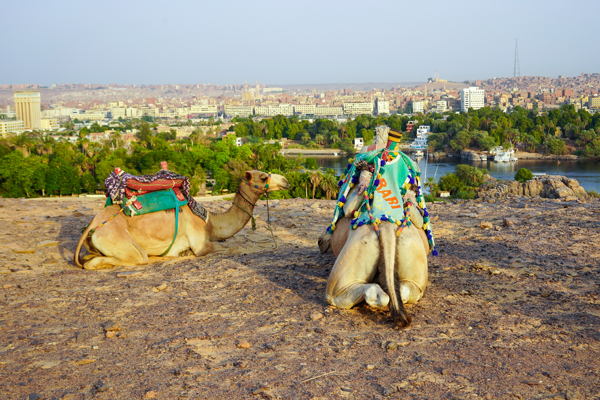 treasures of Egypt
