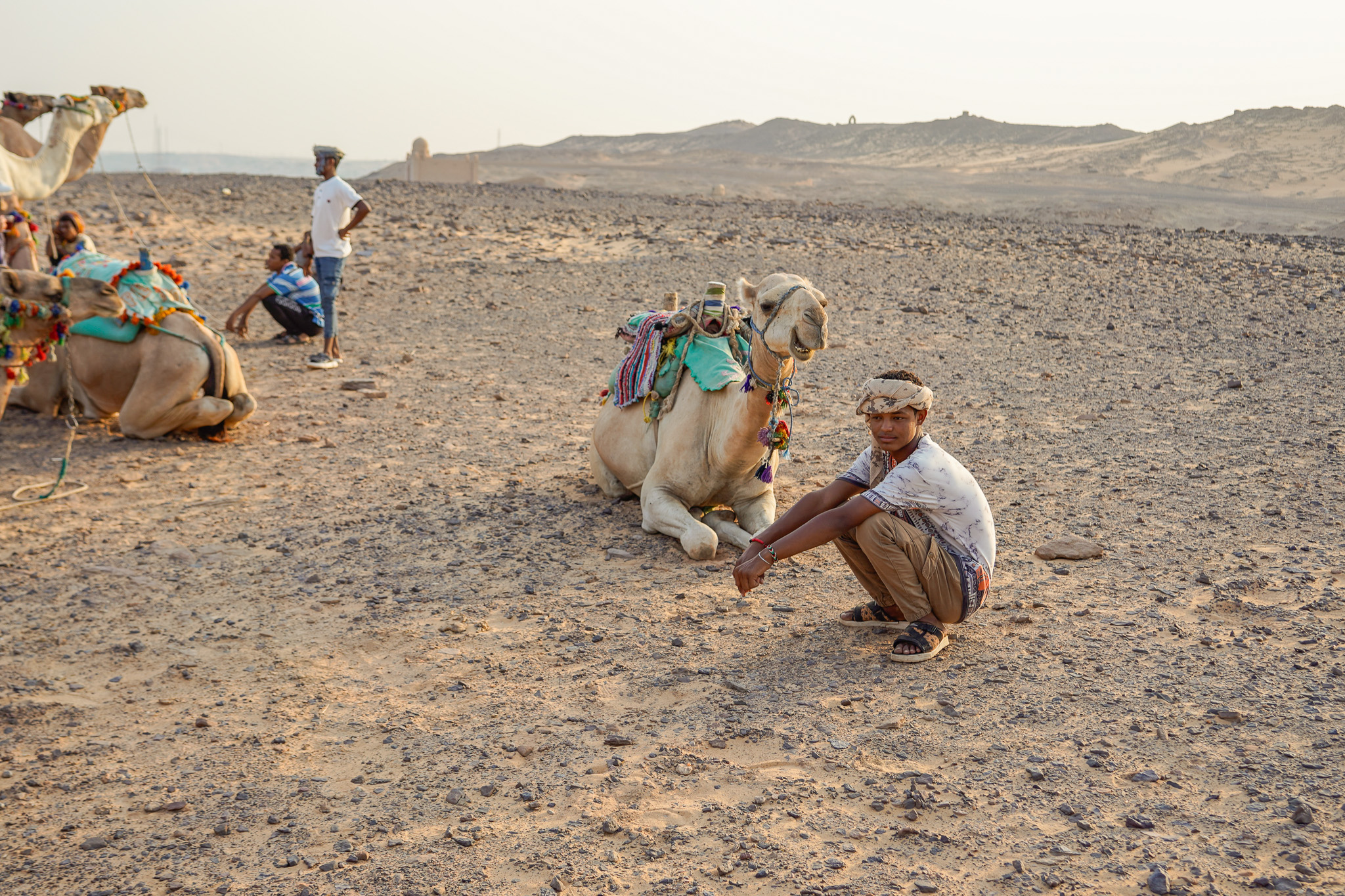 Camel Caravan