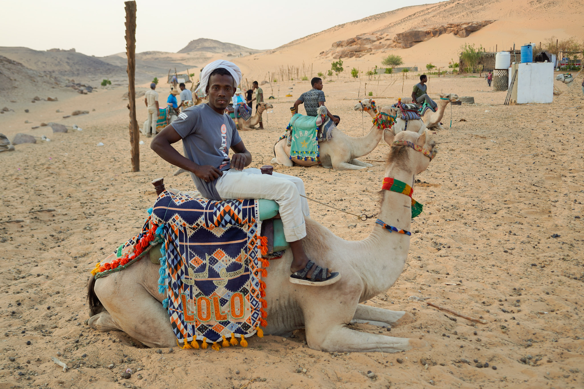 Camel Caravan