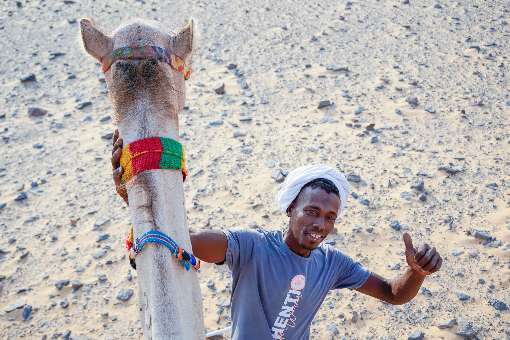 Camel Caravan
