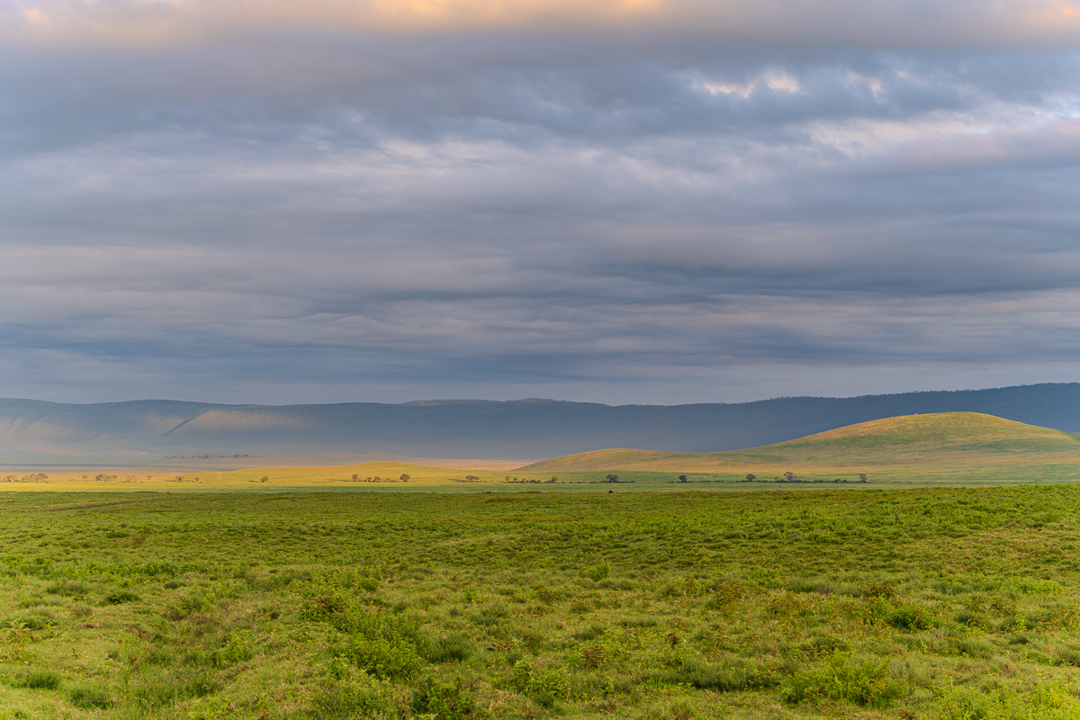 Serengeti Landscape