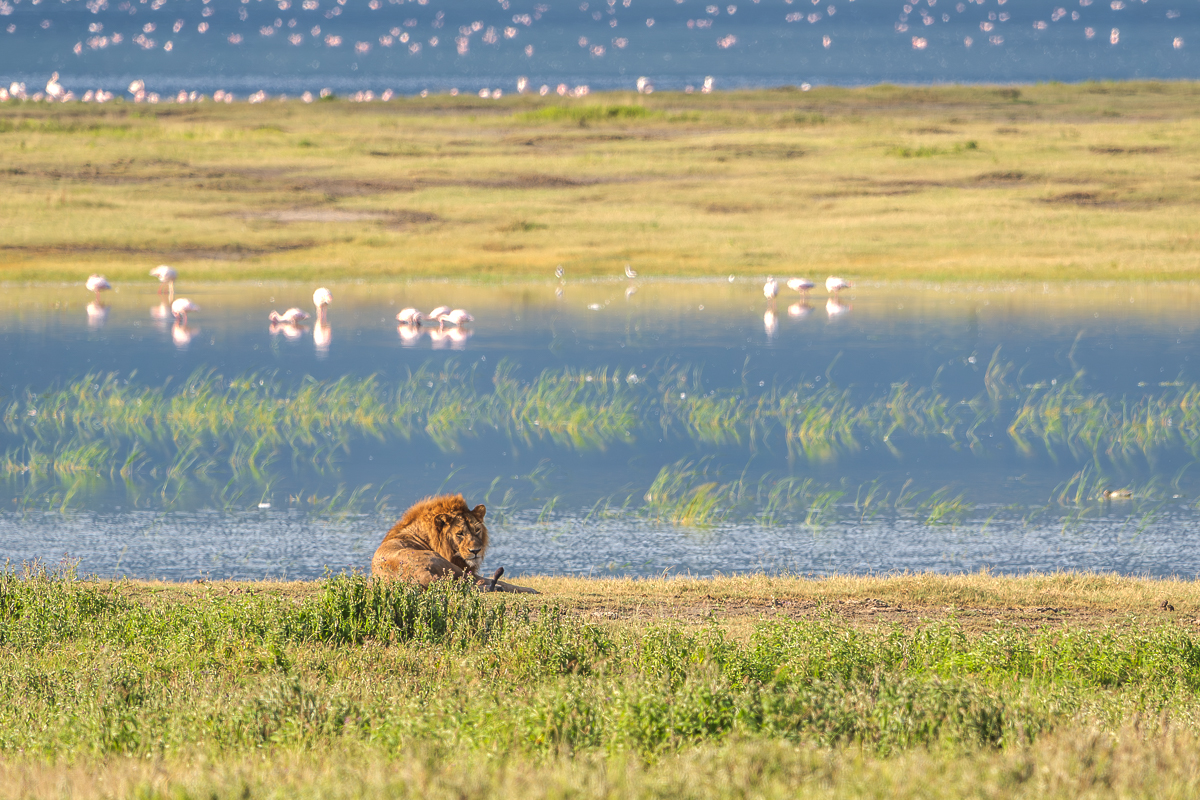 Tanzania Landscape