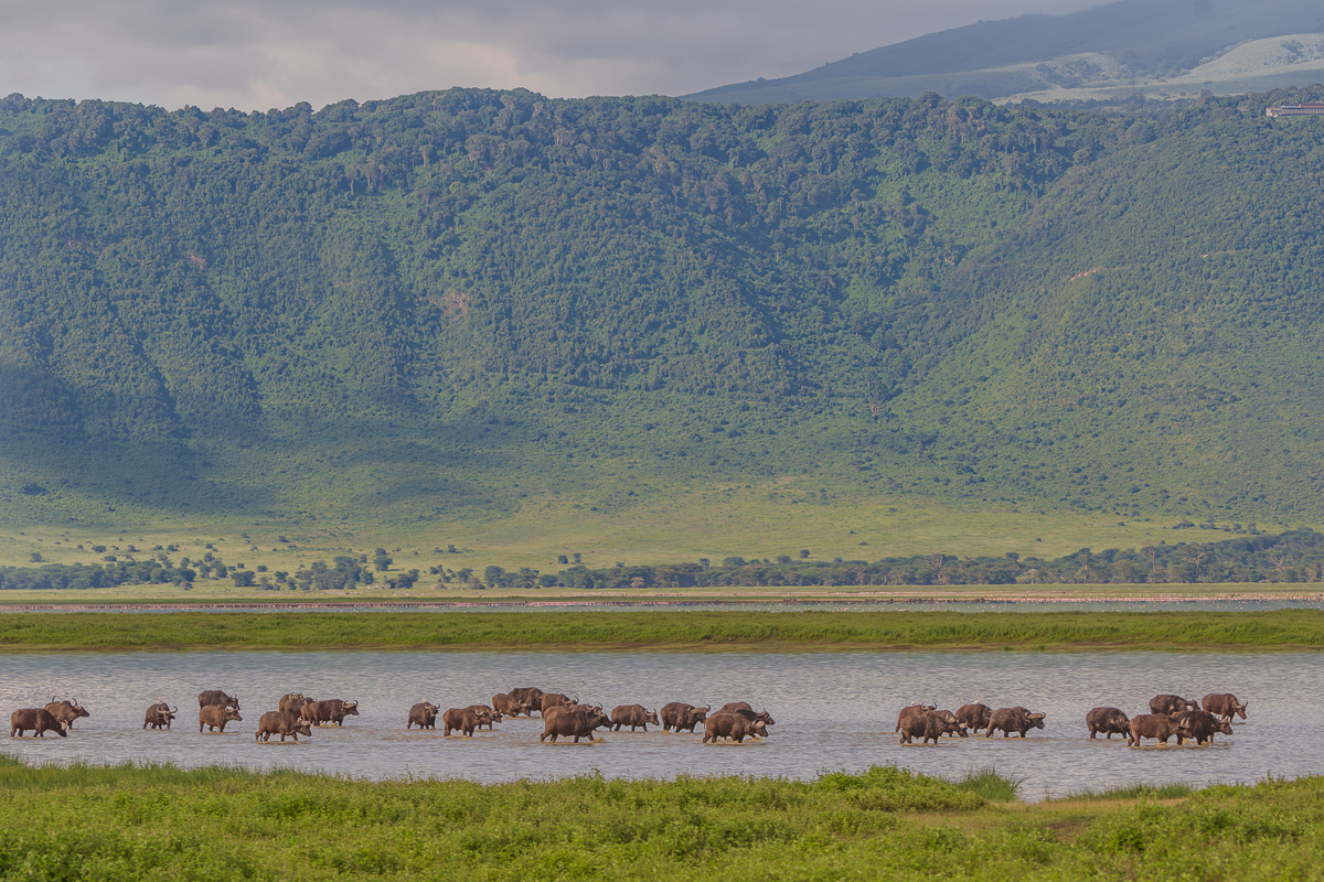 Tanzania Landscape