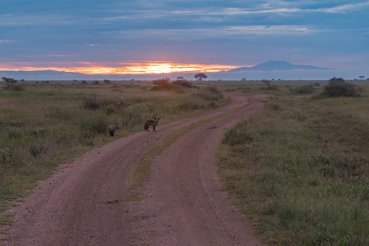 Love of the wild in Tanzania