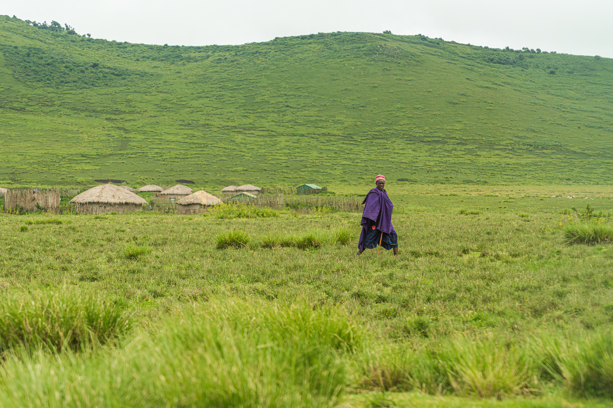 Love of the wild in Tanzania