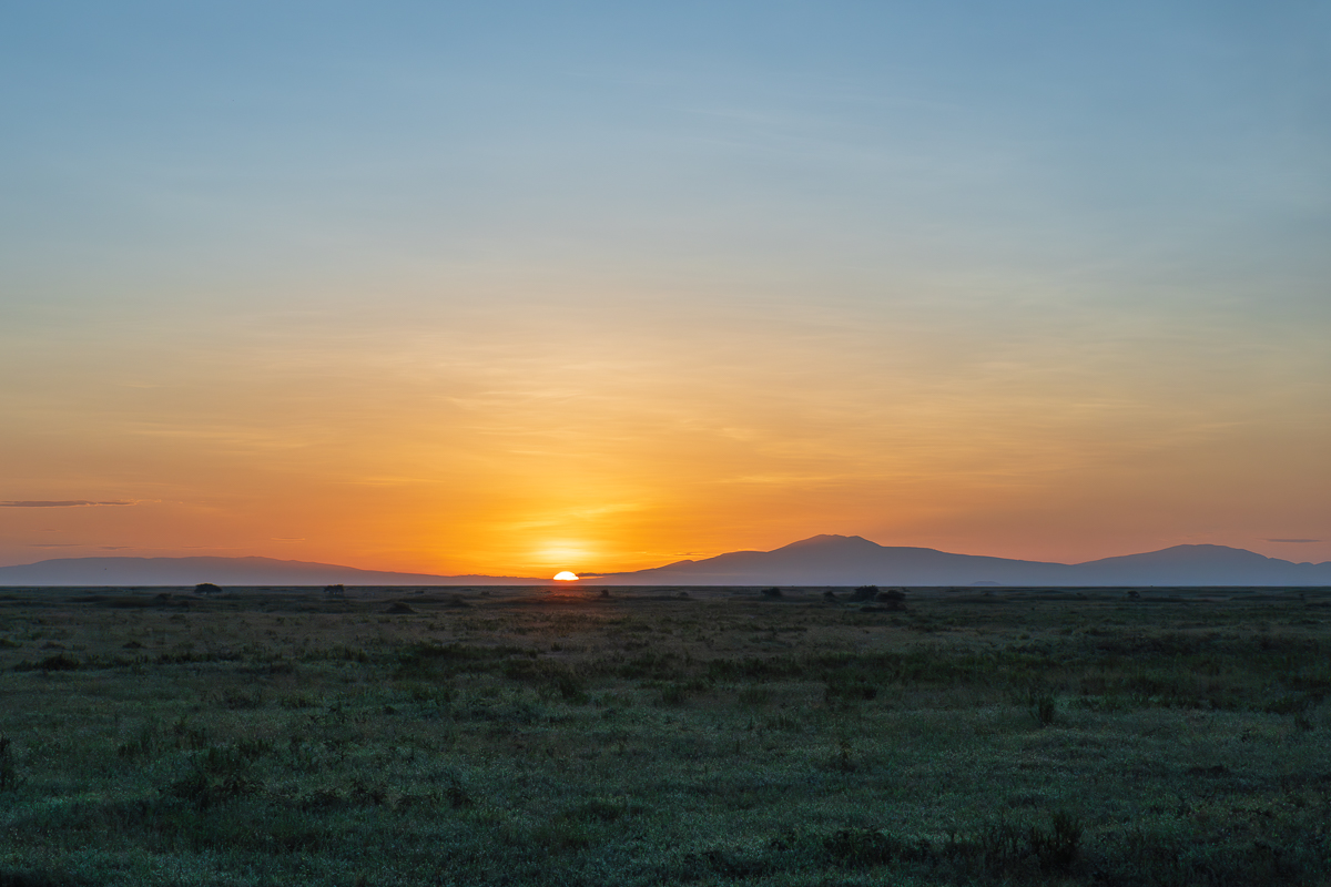 Love of the wild in Tanzania