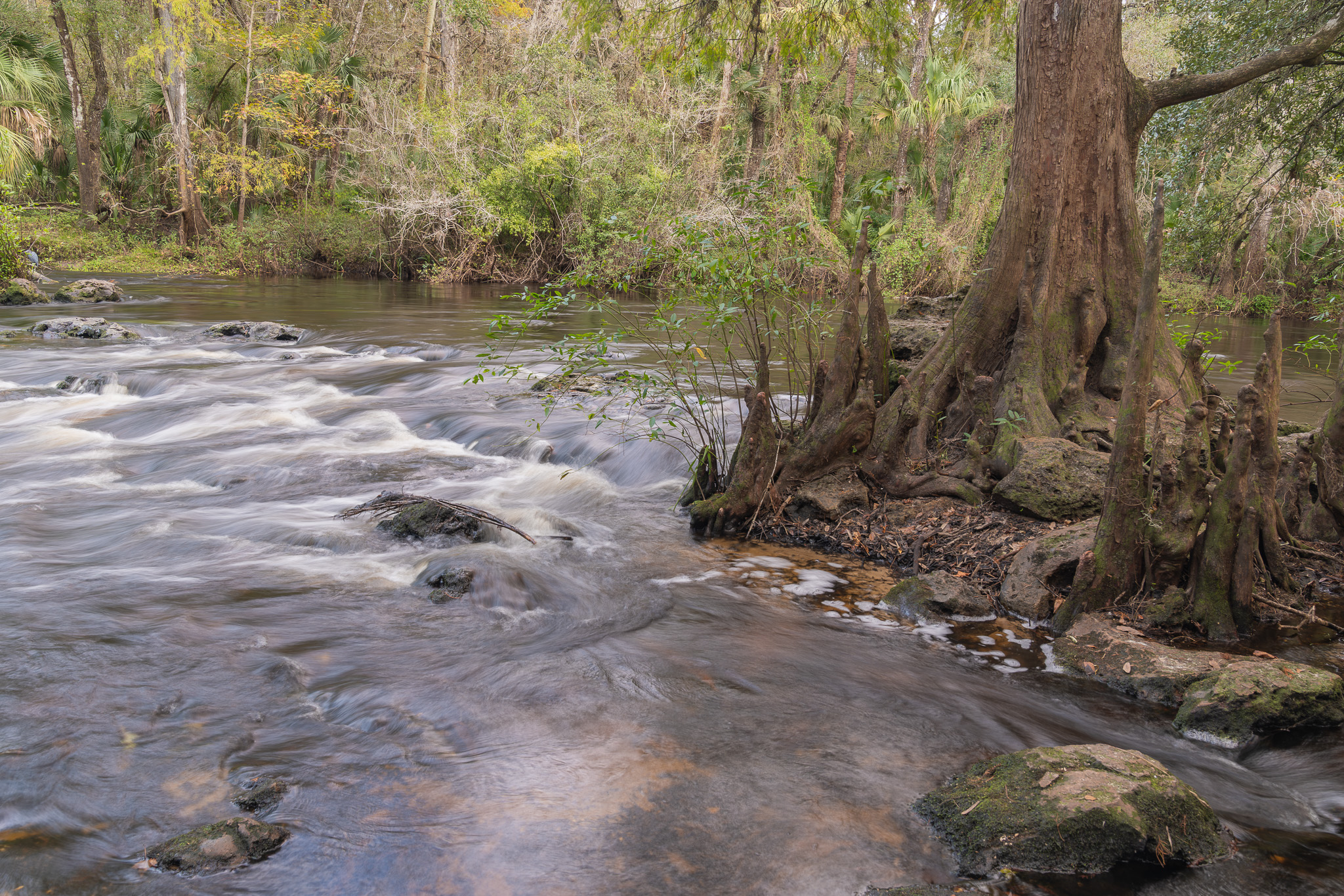 Hillsborough River State Park