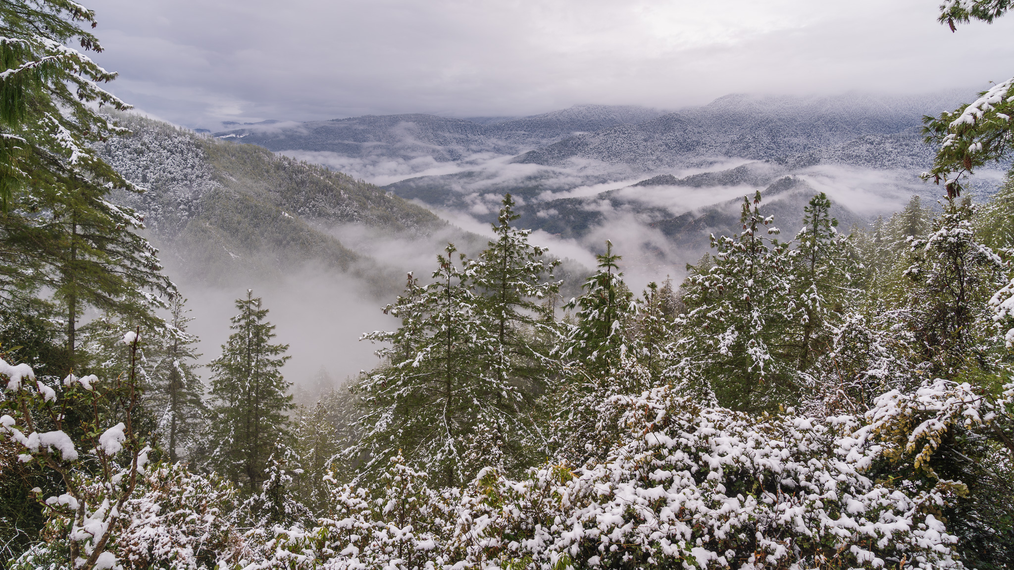 What makes Bhutan so happy