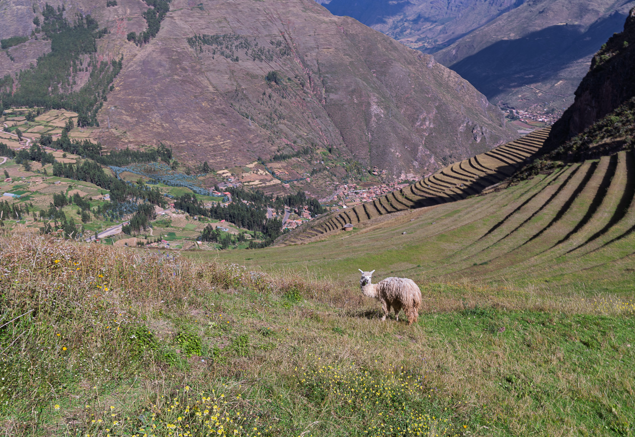 on the road to Machu Picchu