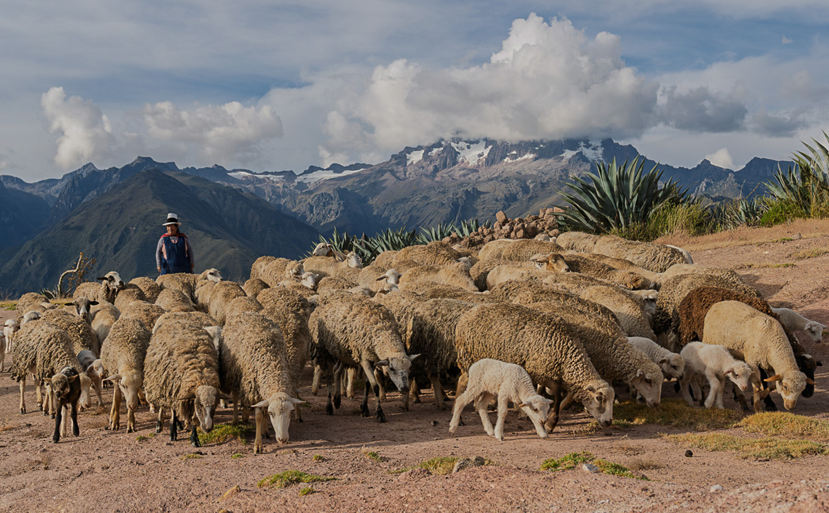 On the road to Machu Picchu