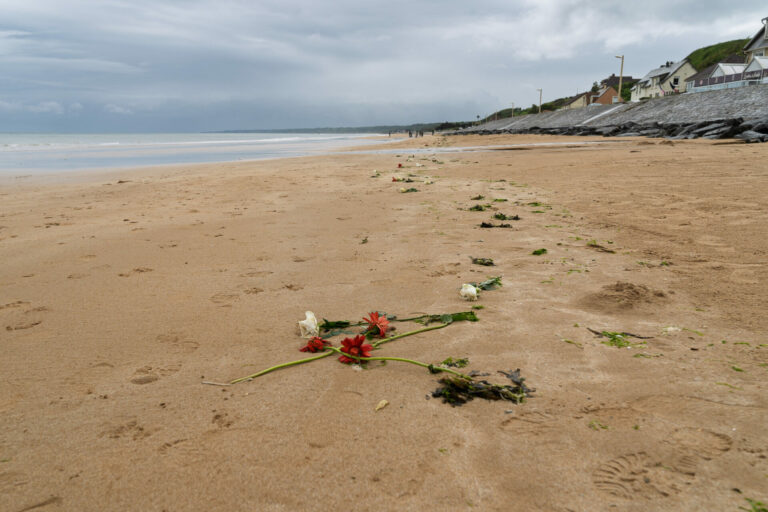 Flowers strewn along Omaha Beach on the Anniversary of D-Day