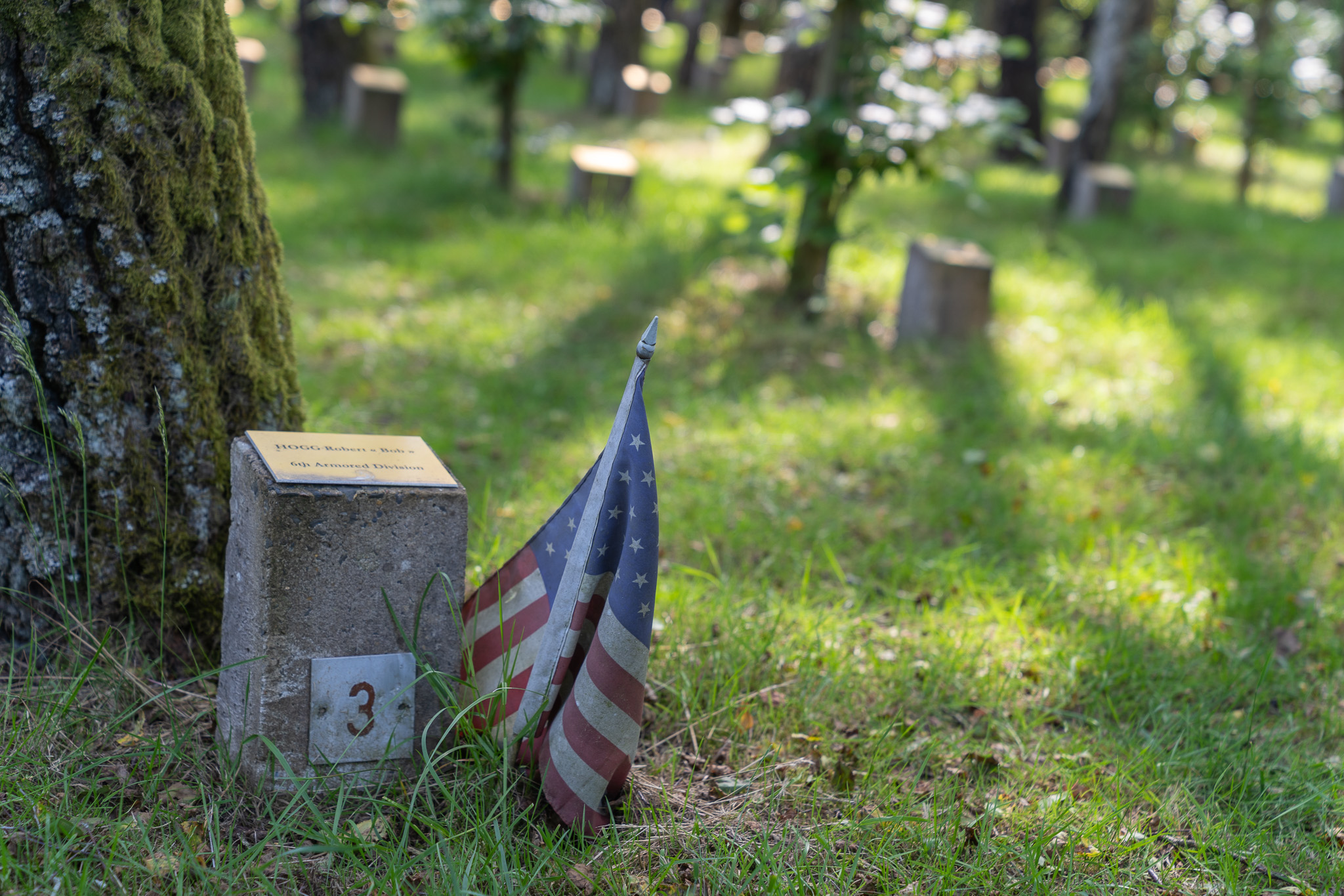 Peace Woods in Foy, trees planted in honor of WWII veterans spell the UNICEF emblam visible from the air.