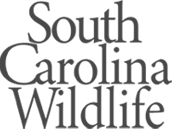 South Carolina Wildlife