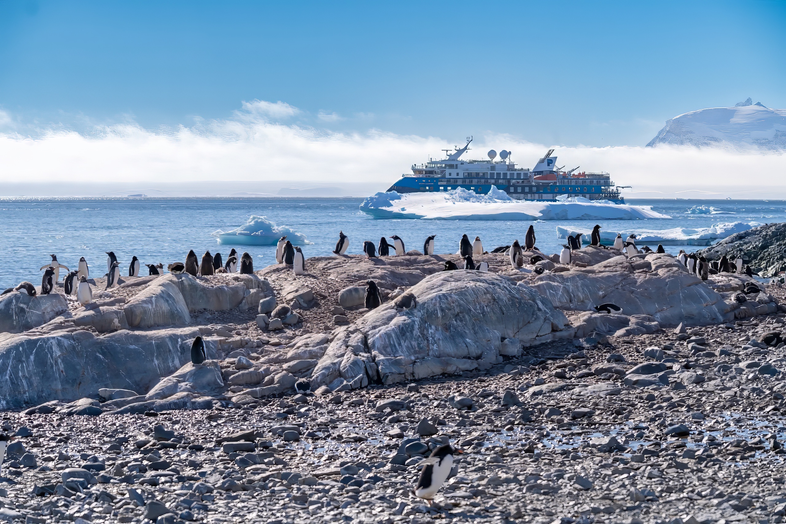 Penguins on an island with the Albatros ship in the background.