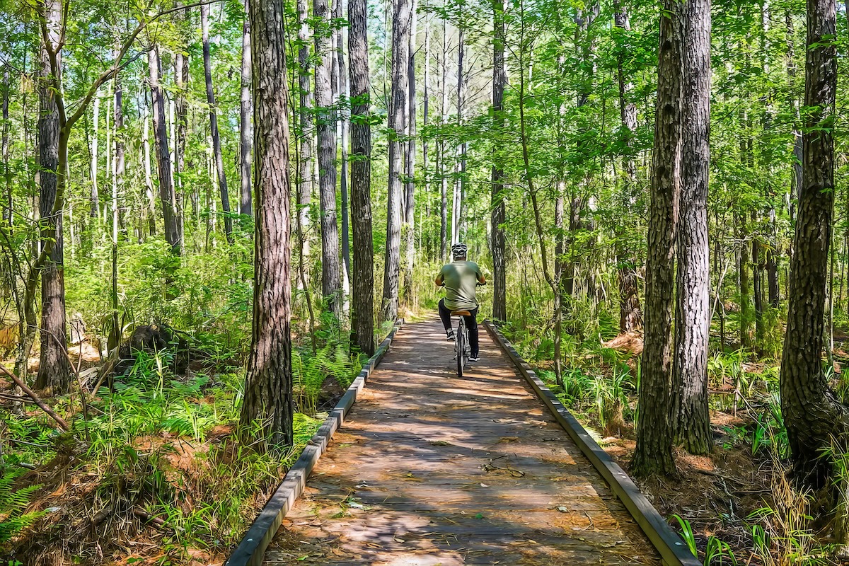 A bicycle is riding on the Palmetto Trail at Awendaw Passage. it's is in the Maritime Forest.